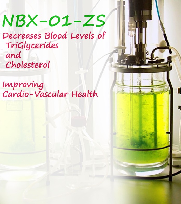 NBX-01-ZS